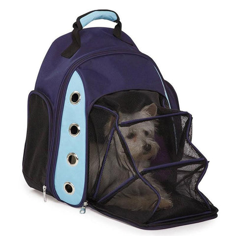 Indigo Polka